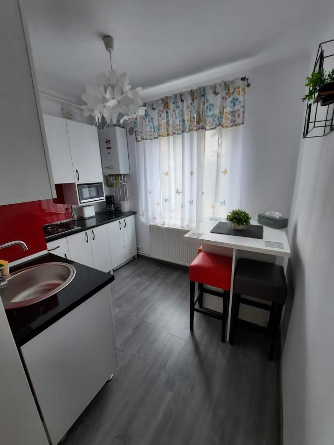 Croma Studio Petrosani Apartamento Exterior foto